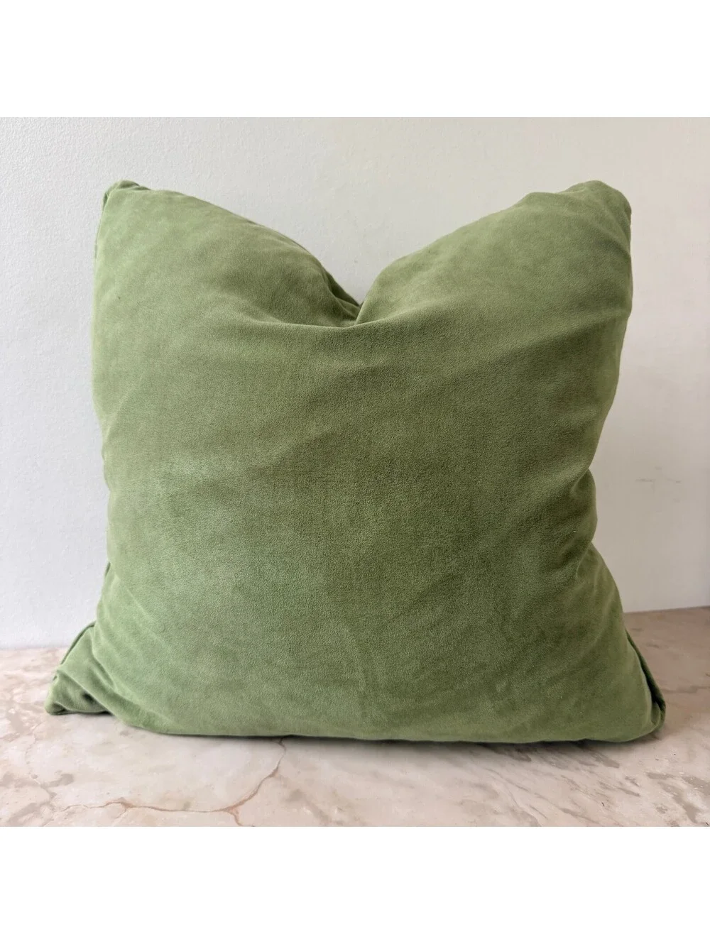 Green Down Feather Throw Pillow with Zipper Closure 17 inch Square Decorative